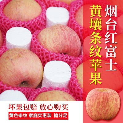当季新鲜水果批发代发山东烟台栖霞红富士苹果5/10斤黄心条纹大果图2
