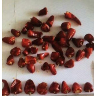 云南丘北辣椒干辣椒丝辣椒碎辣椒面辣椒段现货包邮发货家庭餐食材图5