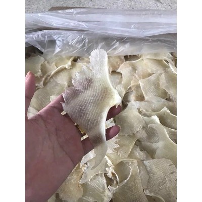 北海特产鳐鱼翅 浦鱼翅鲽鱼翅 煲汤特产渔家晒制海产干货500g/包图2