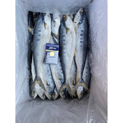 源头工厂】北海特产公马鲛鱼咸鱼干渔鲅鱼干海味海鲜水产干货批发图3