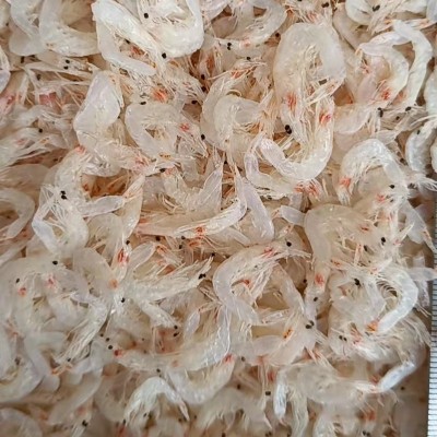 山东海鲜烘干淡干虾皮干货散装加工厂家淡干虾皮制品海鲜干货图3