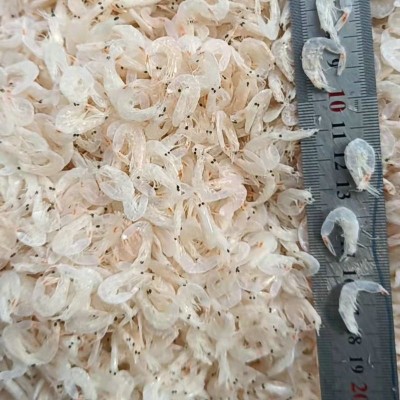 山东海鲜烘干淡干虾皮干货散装加工厂家淡干虾皮制品海鲜干货