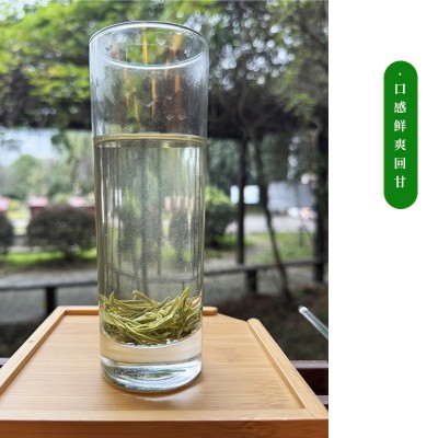 四川绿茶毛尖春季特级显毫毛尖茶散装鲜爽回甘雨前鲜嫩新茶叶批发图2