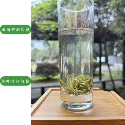 四川绿茶毛尖春季特级显毫毛尖茶散装鲜爽回甘雨前鲜嫩新茶叶批发图3