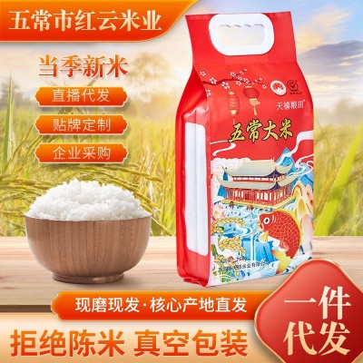 大米批发5斤10斤东北特产东北大米香米软糯香甜黑龙江五常大米