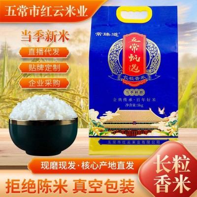 五常长粒香米批发真空10斤装大米现磨现发东北特产东北大米