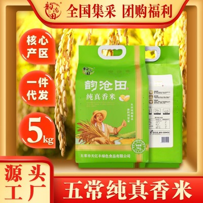 东北新大米五常长粒香米大米10斤 现磨现发
