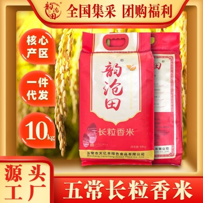 东北新大米20斤装 五常长粒香米 东北大米现磨现发