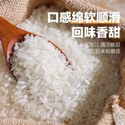 新米黑龙江响水大米产区2.5kg火山岩石板大米斤东北镜泊湖5斤贡图2