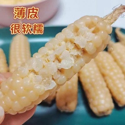 源头工厂直发云南西双版纳拇指小玉米真空锁鲜图5