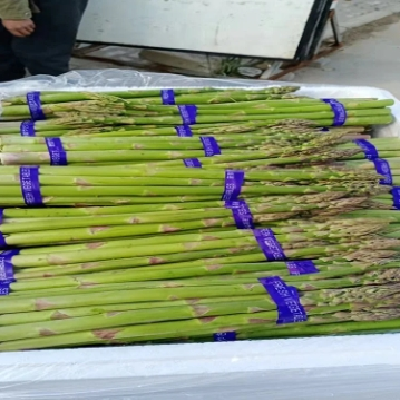 合意种植农民专业合作社 白芦笋条 青芦笋基地供应图2