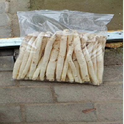 合意种植农民专业合作社 白芦笋条 青芦笋基地供应图5
