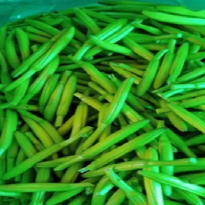 合意种植农民专业合作社 黄花菜基地常年供应 干货图2