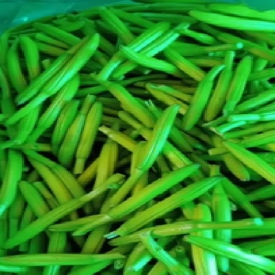 合意种植农民专业合作社 黄花菜基地常年供应 干货图3