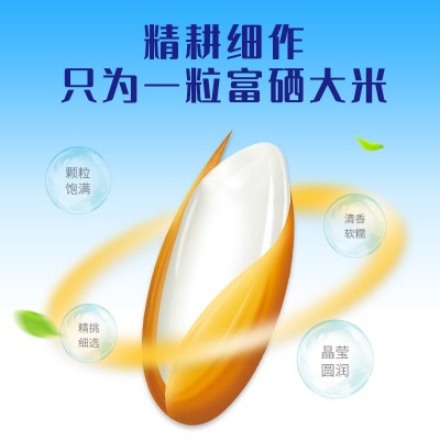石台硒米5千克中硒科技富硒大米过节福利扶贫助农会销礼品批发米图2