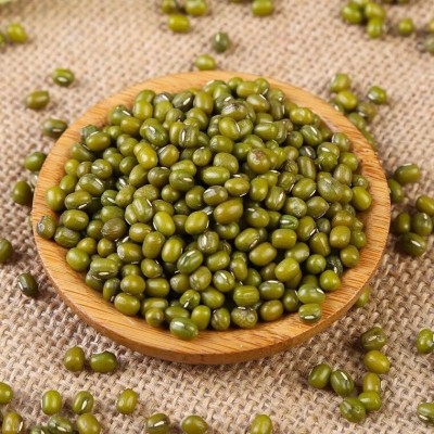 东北绿豆毛绿豆脱皮去皮绿豆仁米汤种子五谷杂粮豆类粗粮批发50斤图2