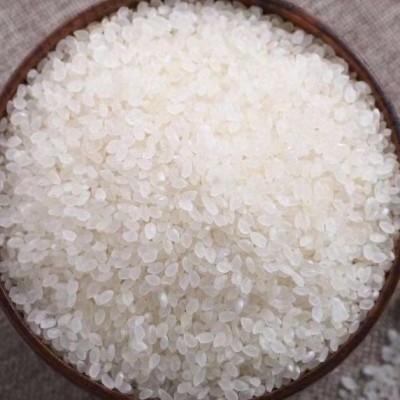 东北大米50斤装米批发食堂用珍珠米一包餐饮用粳米新米图2