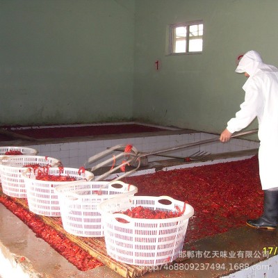 厂家批发 包装盐渍辣椒 腌制辣椒 腌渍辣椒 泡红椒 腌辣椒图2