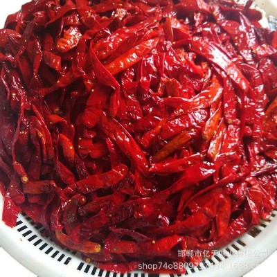 厂家批发 包装盐渍辣椒 腌制辣椒 腌渍辣椒 泡红椒 腌辣椒图3