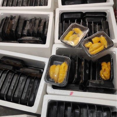 马来猫山王D197莫羲记榴莲果肉3D包装果肉榴莲肉400G液氮冷冻水果图4