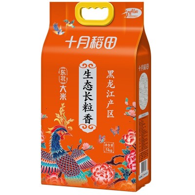 十月稻田 生态长粒香大米 东北大米 香米 5kg批发一件代发图5