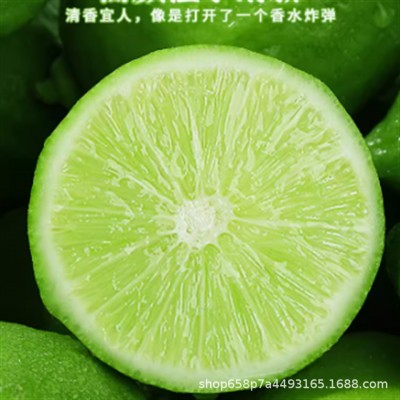 正宗广东香水柠檬新鲜一级果当季水果手暴打柠檬茶直供奶茶店专用图3