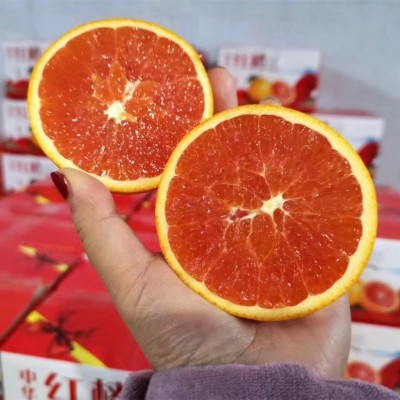 中华红血橙湖北秭归红肉红心脐橙现摘新鲜橙子整箱水果批发红橙图2