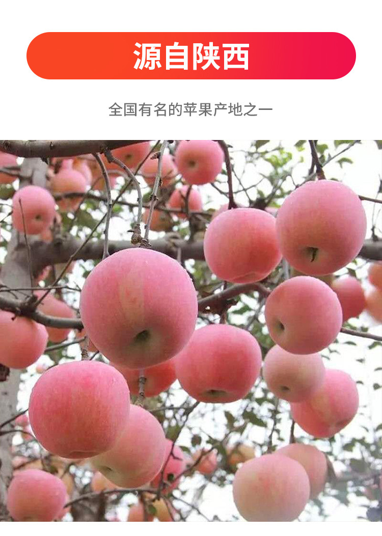 未标题-1