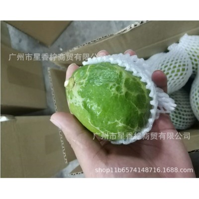 水果整箱香水柠檬10斤新鲜现摘绿色青柠檬奶茶店专用批发图4