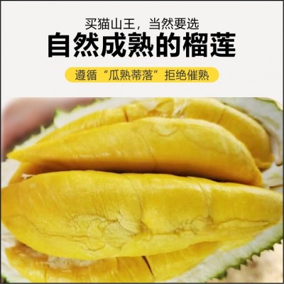 榴莲猫山王d197正宗马来西亚进口带壳整箱批发冷冻液氮猫山王榴莲