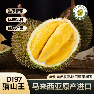 榴莲猫山王d197正宗马来西亚进口带壳整箱批发冷冻液氮猫山王榴莲图2