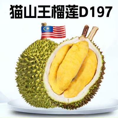 猫山王榴莲d197马来西亚b果一箱批发20斤冰冻7颗液氮 巴掌榴莲图4