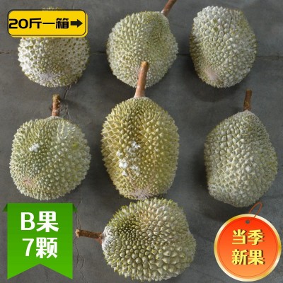猫山王榴莲d197马来西亚b果一箱批发20斤冰冻7颗液氮 巴掌榴莲