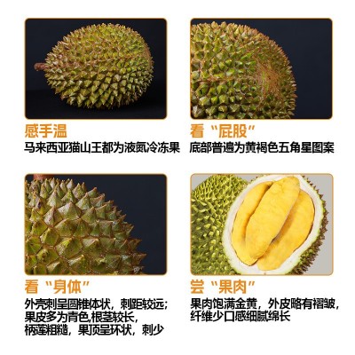 猫山王榴莲d197马来西亚b果一箱批发20斤冰冻7颗液氮 巴掌榴莲图3