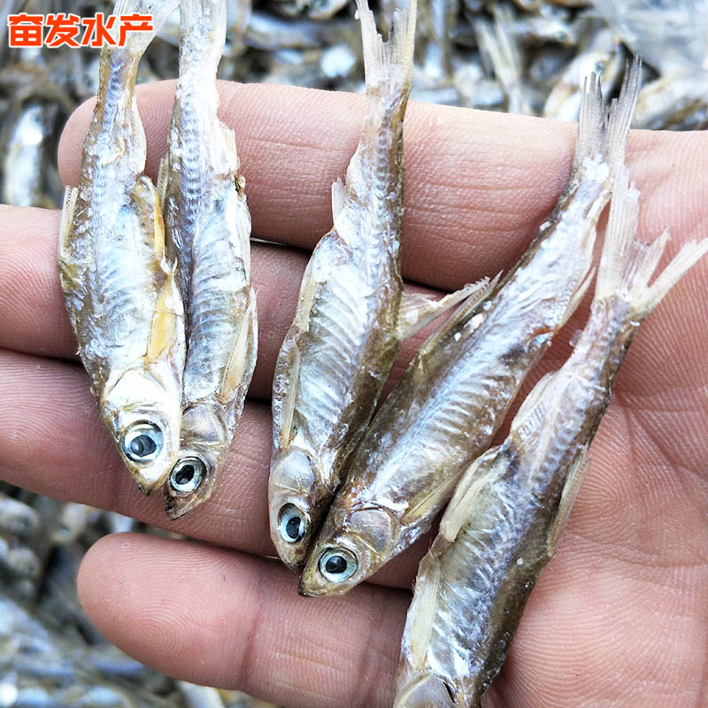 微信图片_201903041846371.jpg