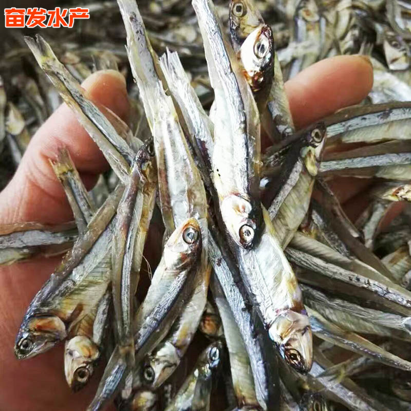 微信图片_2019030408505111.jpg