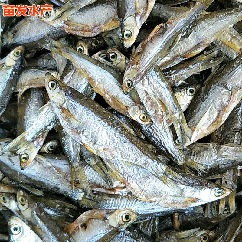 微信图片_201903040914161.jpg