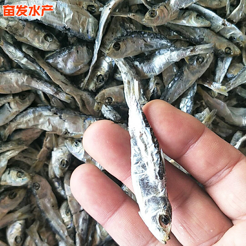 微信图片_201903040914173.jpg