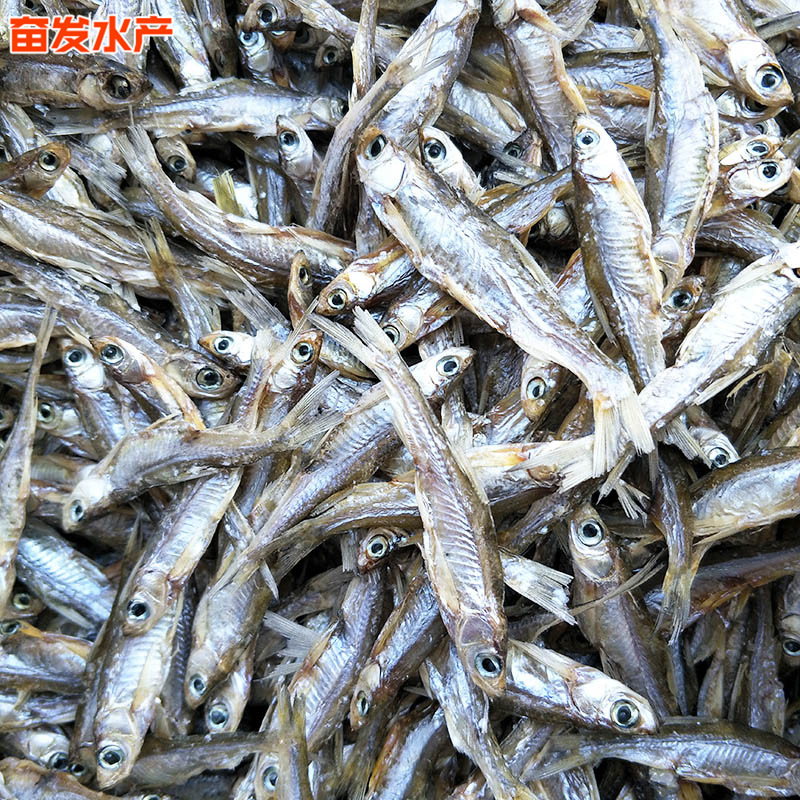 微信图片_20190304184637.jpg