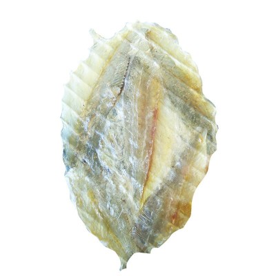 厂家直供 金线鱼片 鱼干片 休闲零食 整箱批发 水产干货供应图5