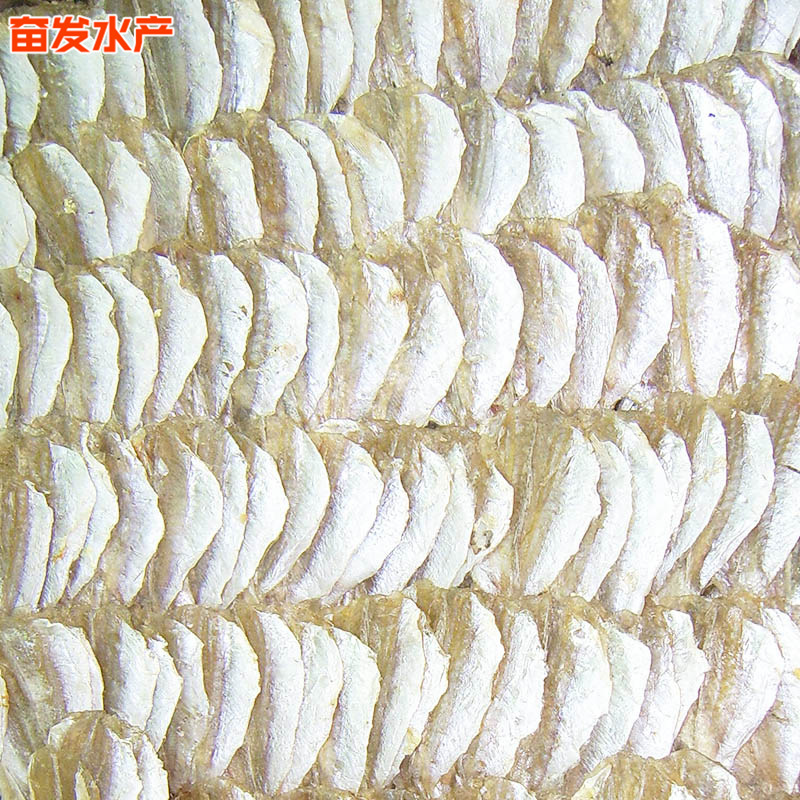 微信图片_201903040916275.jpg