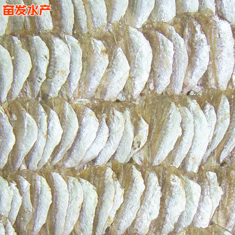 微信图片_201903040916274.jpg