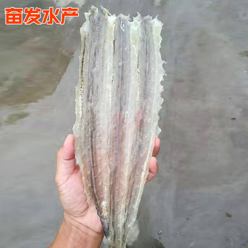 6395ce93a84c065eb67a982333b96f