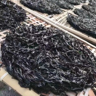 大量供应头水紫菜散装无沙免洗大片头水紫菜煲汤 优质纯手工日晒图3