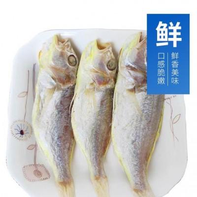 渔民自晒大量阳江特产一夜埕红三鱼干微咸鱼干干货鲜甜带头去内脏图2