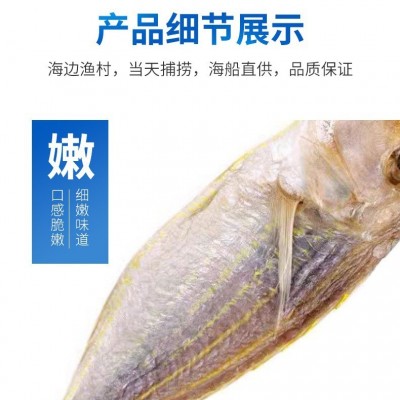 渔民自晒大量阳江特产一夜埕红三鱼干微咸鱼干干货鲜甜带头去内脏图3
