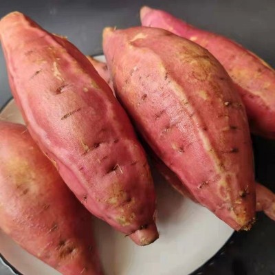 山东烟薯25号蜜薯糖番薯烤地瓜净重4.5斤装中果3-5两/粒图2