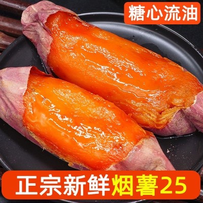 山东烟薯25号蜜薯糖番薯烤地瓜净重4.5斤装中果3-5两/粒