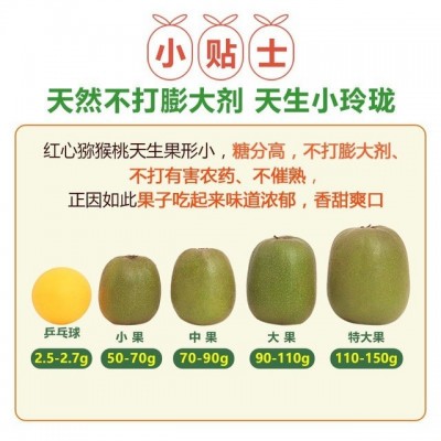 一级果纯甜四川蒲江红心猕猴桃奇异果新鲜当季水果批发代发品质果图5