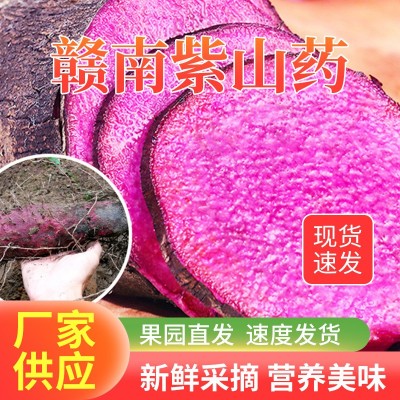 赣南紫山药新鲜蔬菜现挖现发赣南紫人参脚板薯紫大署紫玉淮山图2